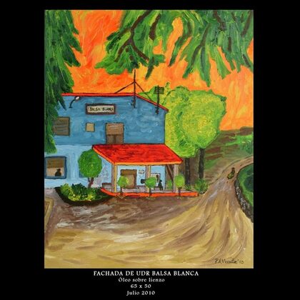 Cuadro 56 de Pedro Antonio Vicente, Art Imperial Painting